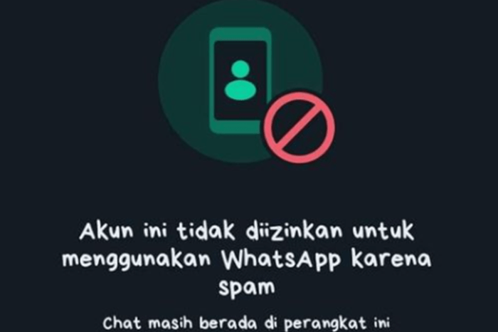 Akun ini tidak diizinkan untuk menggunakan whatsapp