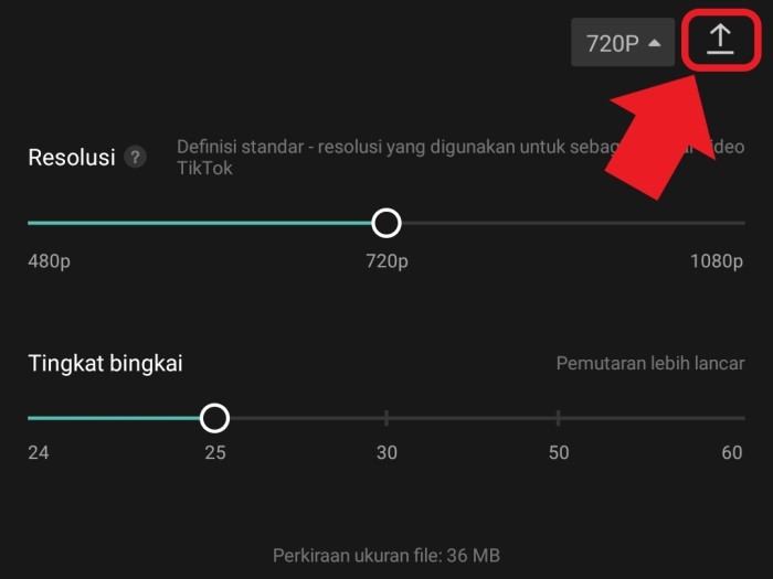 Cara menstabilkan video