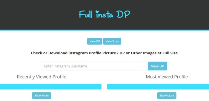 Profil instagram download