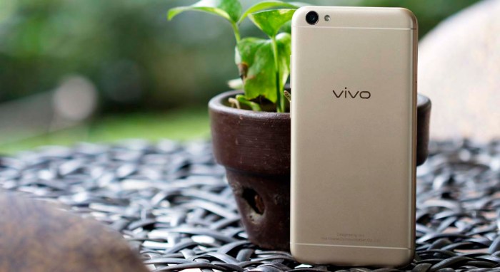 V5 lite vivo review selfie affordable perfect most whatsapp