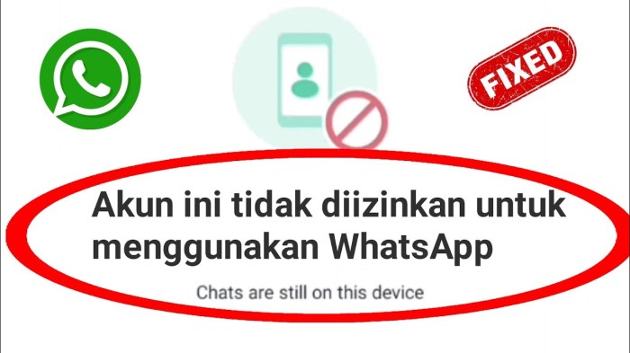 Akun ini tidak diizinkan untuk menggunakan whatsapp