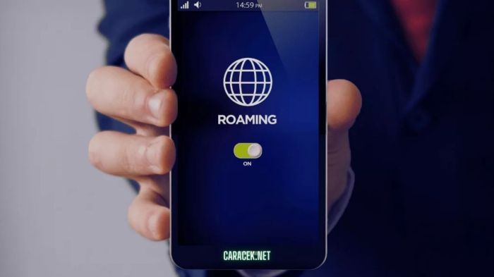 Apa itu roaming data