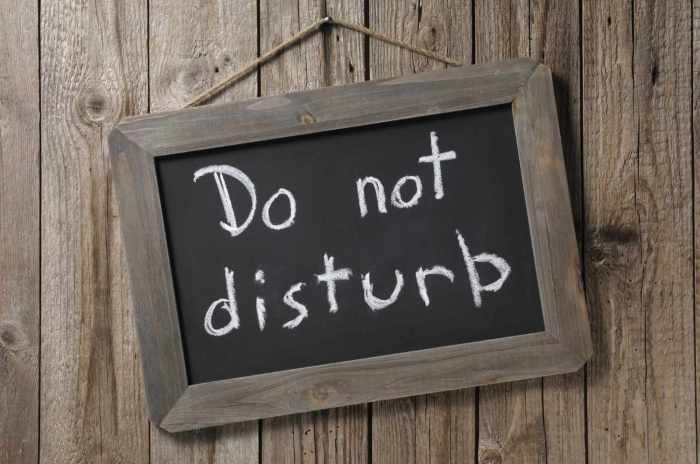 Do not disturb artinya