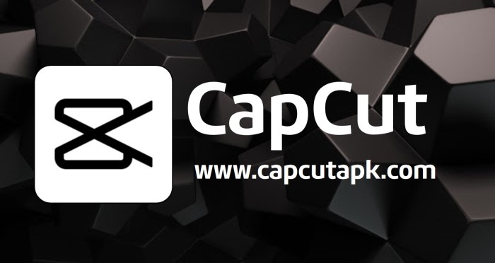 Capcut downloader